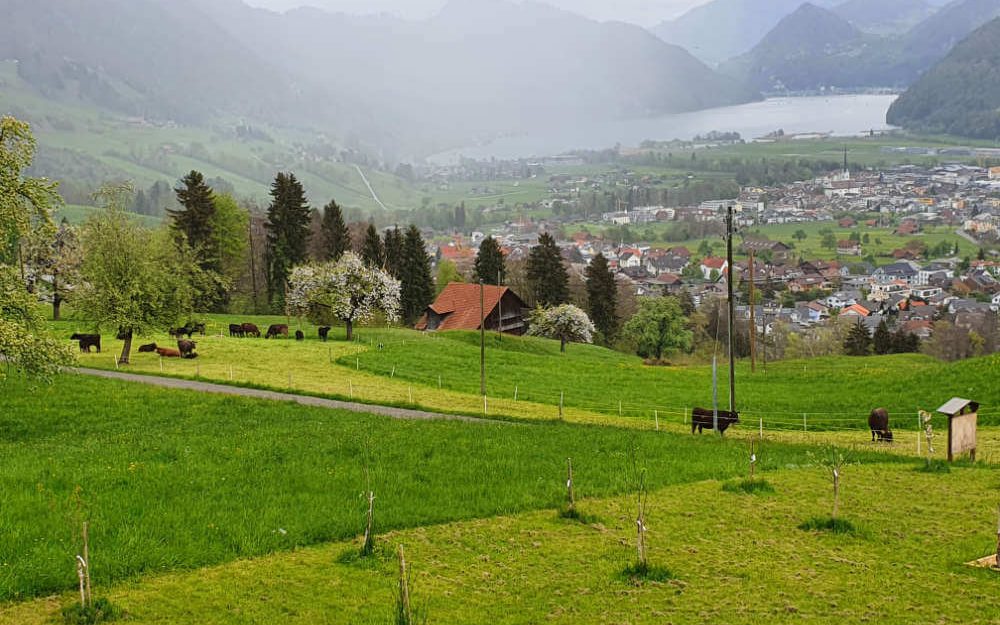 Blick über das Dorf Alpnach in Obwalden von der Hofmanufaktur Rütiberg