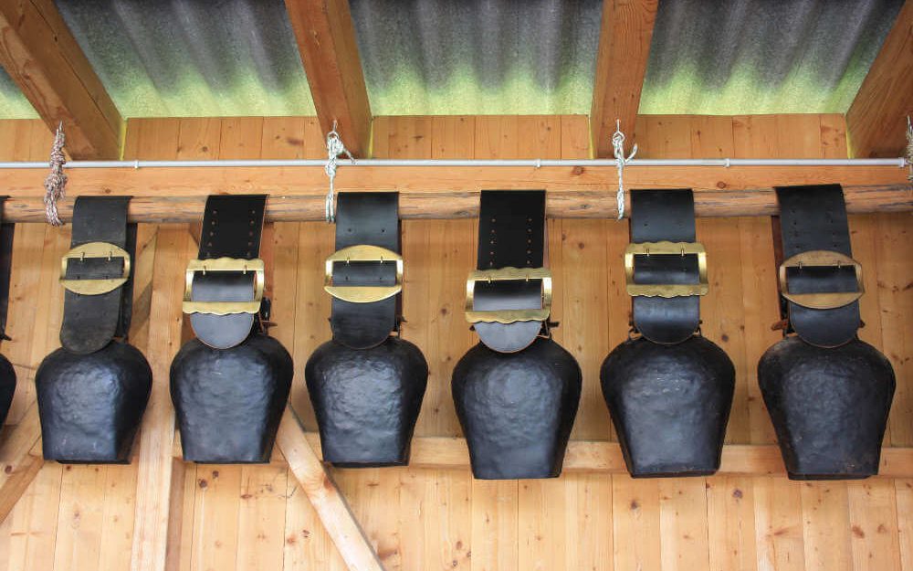 Kuh Glocken oder auch Trychlen aufgereiht auf dem Rütiberg in Alpnach