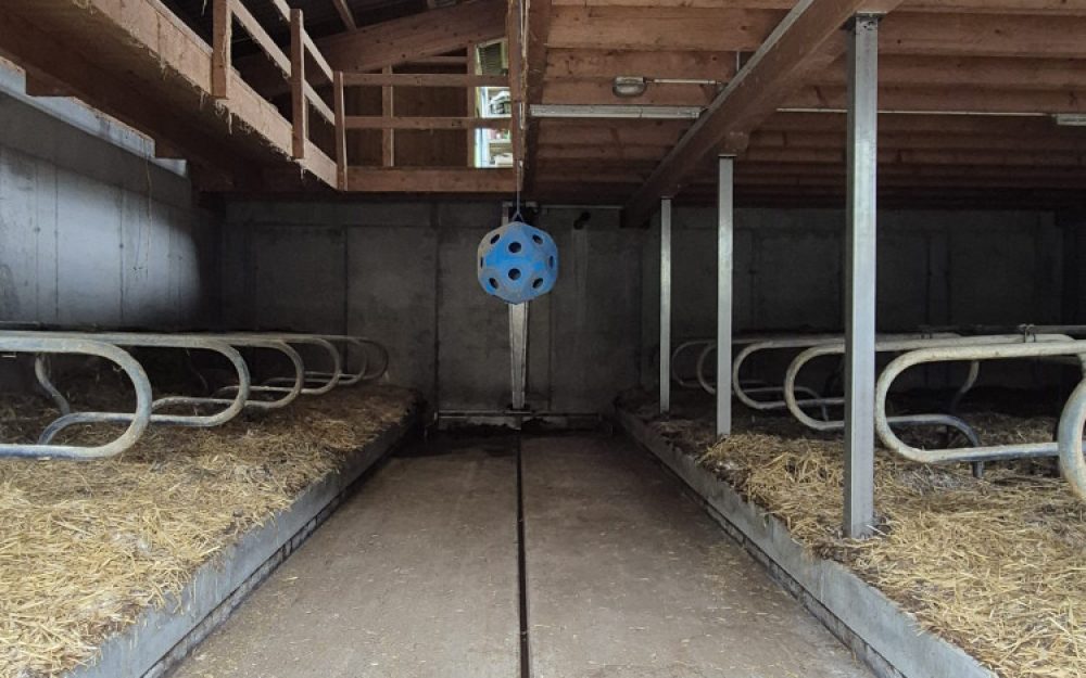 Ruetiberg-Hofmanufaktur_Stall